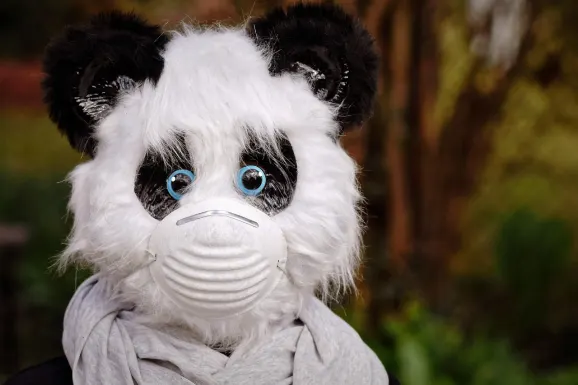 Thunderbolt Casino Kundeservice